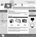 Website Template 117